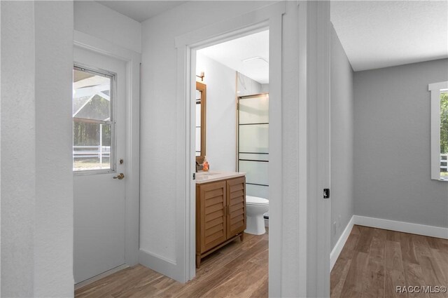 5079 W Pinto Loop, Beverly Hills, FL 34465 - hall featuring light wood-style floors, baseboards, and a sink