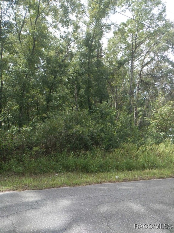 138 N Rooks Ave, Inverness FL, 34453 land for sale