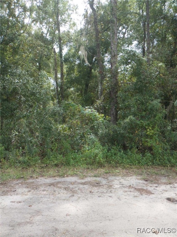 Listing photo 3 for 138 N Rooks Ave, Inverness FL 34453