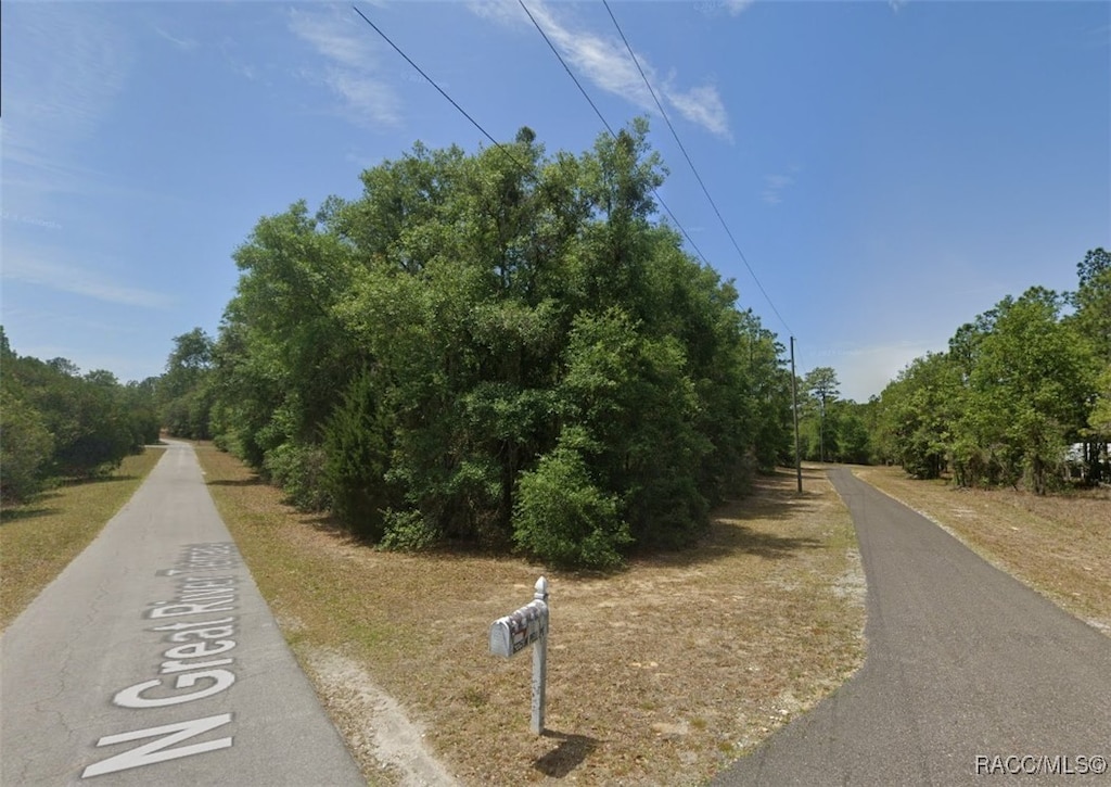 6160 W Pell Pl, Dunnellon, FL 34433 - photo 2