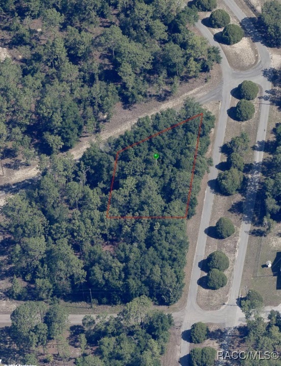 6160 W Pell Pl, Dunnellon, FL 34433 - photo 3