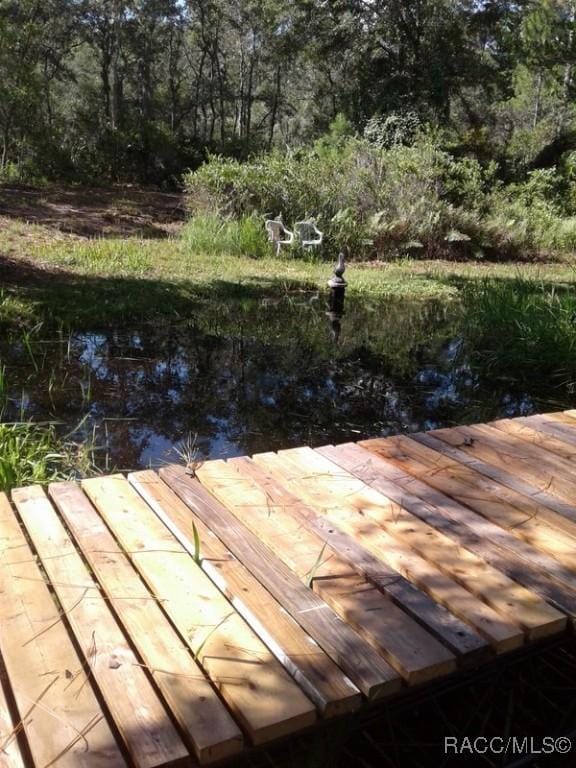 5322 Benton Ter, Homosassa, FL 34446 - photo 3