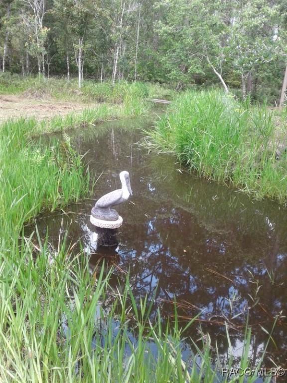 5322 Benton Ter, Homosassa, FL 34446