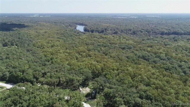 104 NE 304th Ave, Old Town, FL 32680 - photo 27