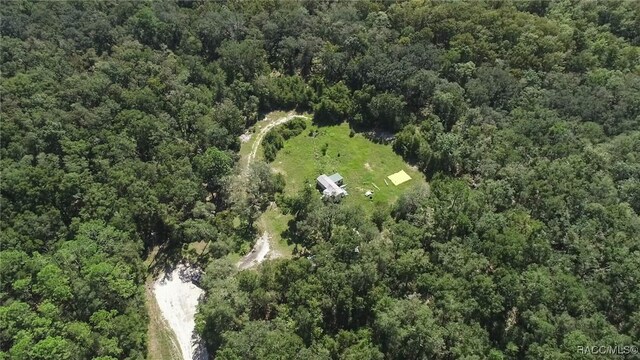 104 NE 304th Ave, Old Town, FL 32680 - photo 12