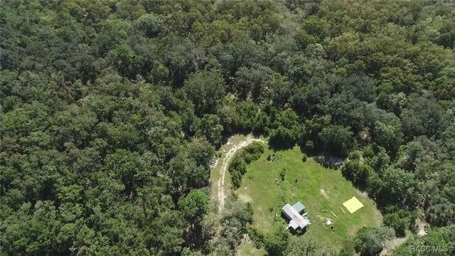 104 NE 304th Ave, Old Town, FL 32680 - photo 13