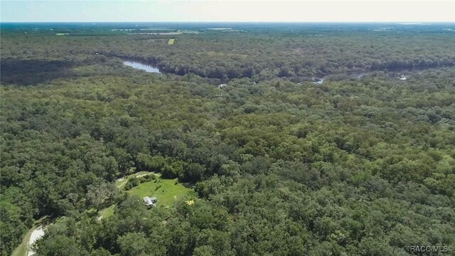 104 NE 304th Ave, Old Town, FL 32680 - photo 30