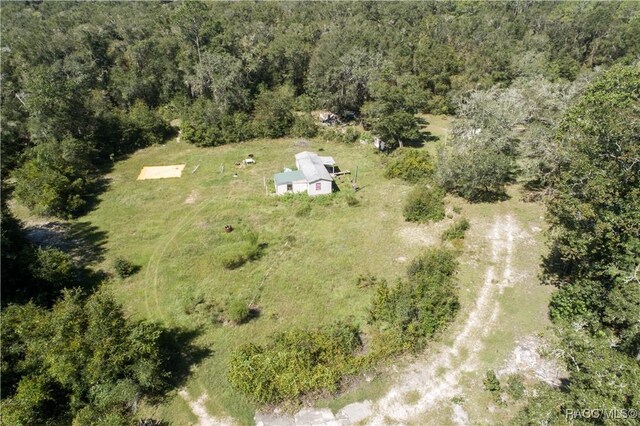 104 NE 304th Ave, Old Town, FL 32680 - photo 8