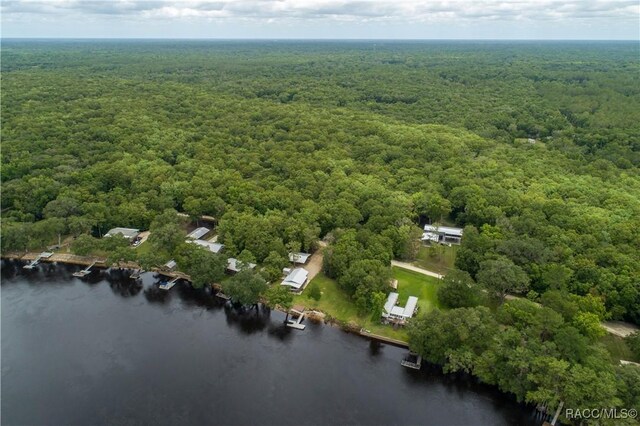 104 NE 304th Ave, Old Town, FL 32680 - photo 44