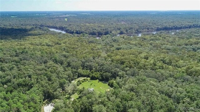 104 NE 304th Ave, Old Town, FL 32680 - photo 31