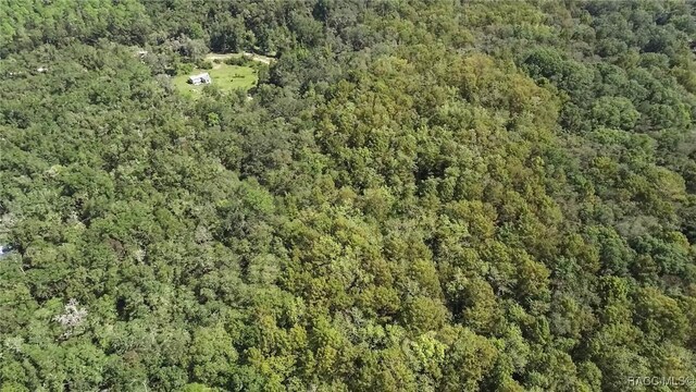 104 NE 304th Ave, Old Town, FL 32680 - photo 24