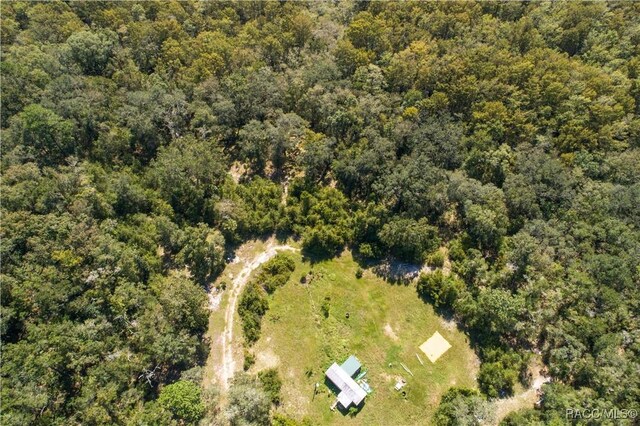 104 NE 304th Ave, Old Town, FL 32680 - photo 33