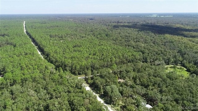 104 NE 304th Ave, Old Town, FL 32680 - photo 29
