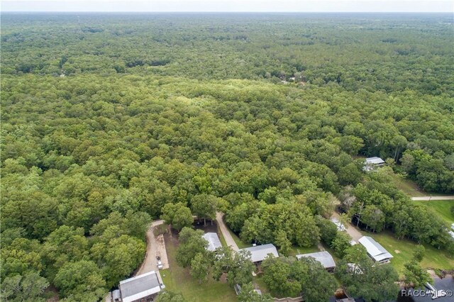 104 NE 304th Ave, Old Town, FL 32680 - photo 45