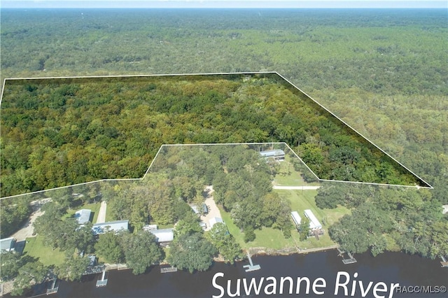 104 NE 304th Ave, Old Town, FL 32680 - photo 1