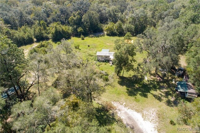 104 NE 304th Ave, Old Town, FL 32680 - photo 6