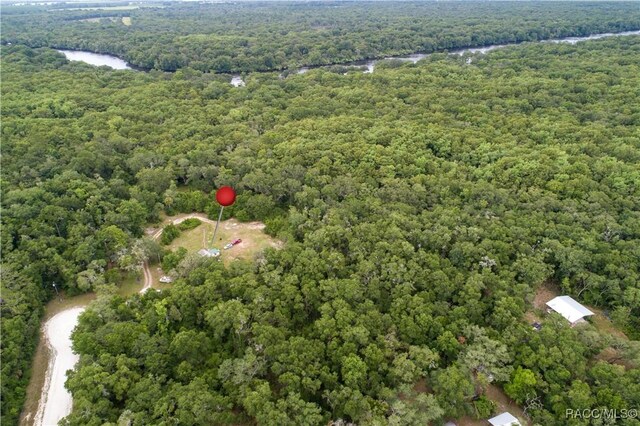 104 NE 304th Ave, Old Town, FL 32680 - photo 5