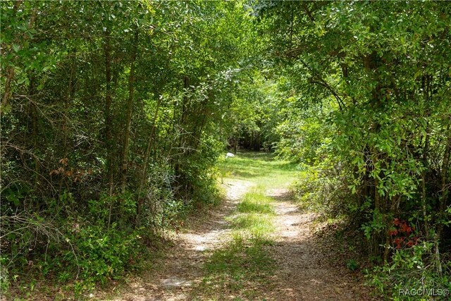 104 NE 304th Ave, Old Town, FL 32680 - photo 56