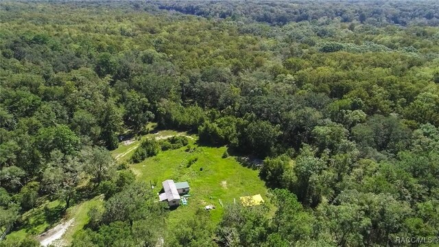 104 NE 304th Ave, Old Town, FL 32680 - photo 9