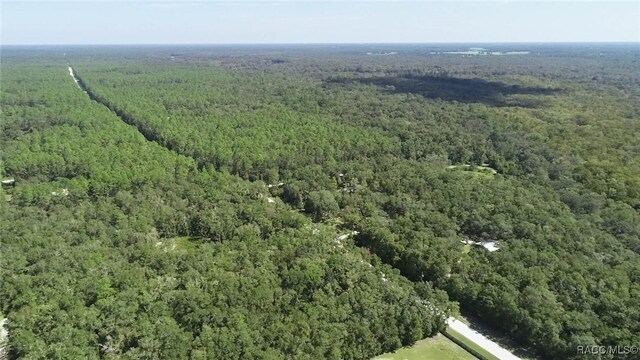 104 NE 304th Ave, Old Town, FL 32680 - photo 28