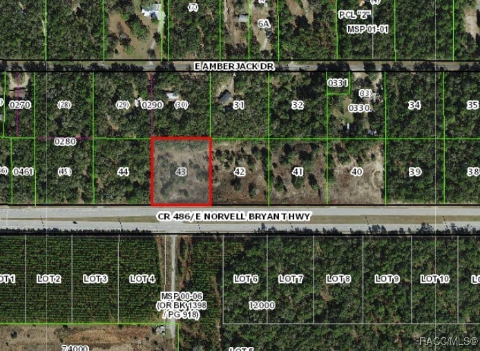 1567 E Norvell Bryant Hwy, Hernando, FL 34442