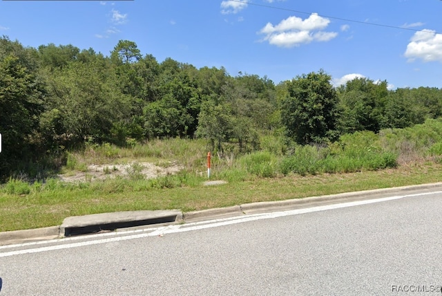 1567 E Norvell Bryant Hwy, Hernando, FL 34442