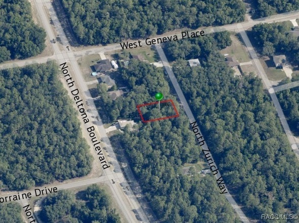 8702 N Zurich Way, Citrus Springs, FL 34434
