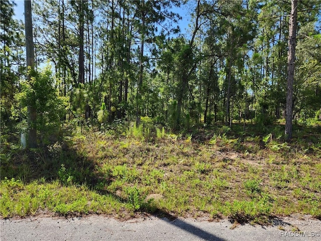 1476 W Diamond Dr, Citrus Springs, FL 34434 - photo 2