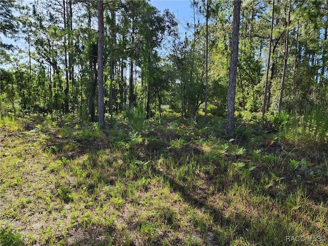 1476 W Diamond Dr, Citrus Springs, FL 34434 - photo 3