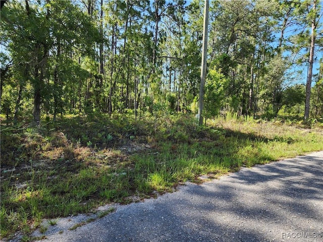 1476 W Diamond Dr, Citrus Springs, FL 34434 - photo 1