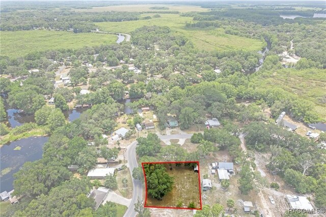 10575 E Gobbler Dr, Floral City, FL 34436 - photo 4