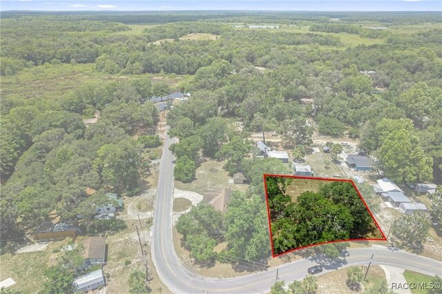 10575 E Gobbler Dr, Floral City, FL 34436 - photo 3