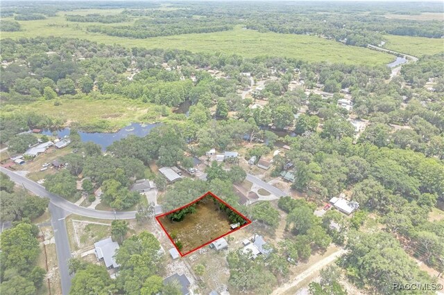 10575 E Gobbler Dr, Floral City, FL 34436 - photo 5