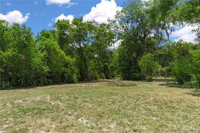 10575 E Gobbler Dr, Floral City, FL 34436 - photo 9