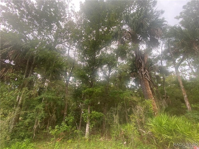 4300 N Williams Ave, Crystal River, FL 34428