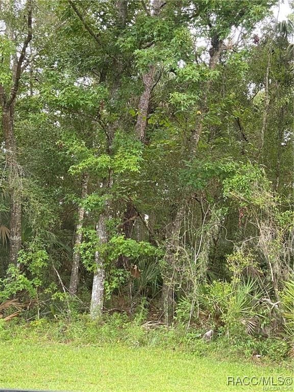 4300 N Williams Ave, Crystal River, FL 34428