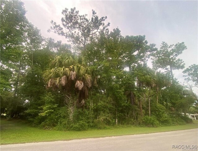 4300 N Williams Ave, Crystal River, FL 34428
