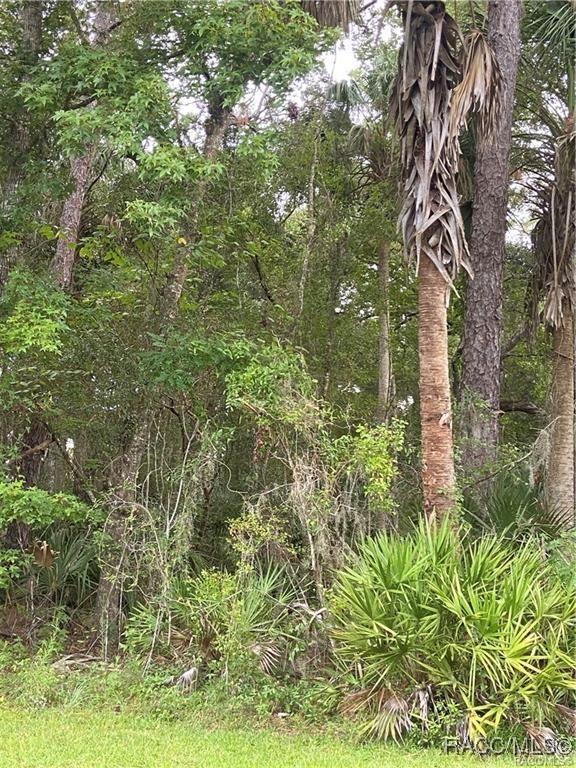 4300 N Williams Ave, Crystal River, FL 34428