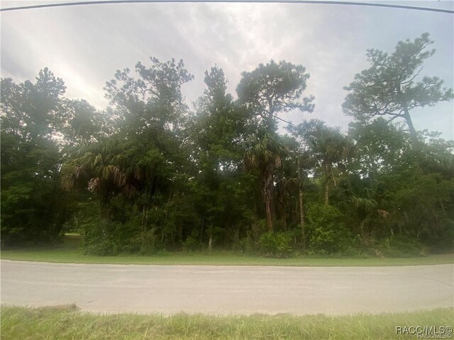 4300 N Williams Ave, Crystal River, FL 34428