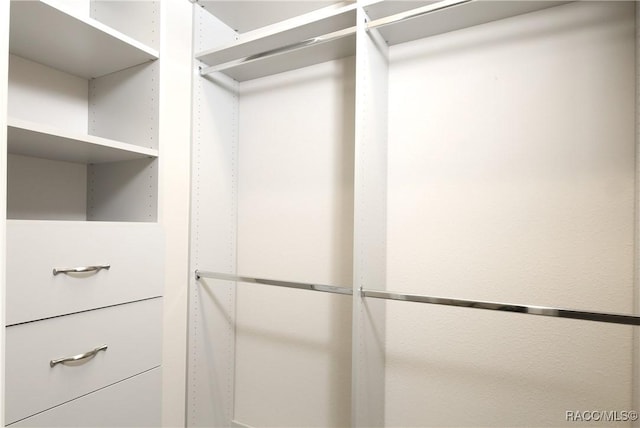 view of walk in closet