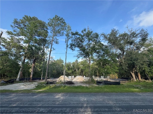 9567 N Cavewood Ave, Crystal River, FL 34428
