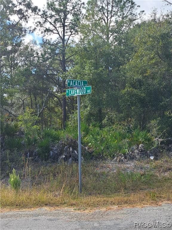 9567 N Cavewood Ave, Crystal River, FL 34428