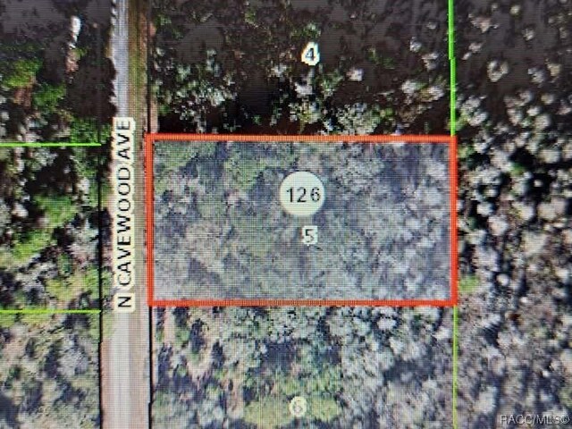 9567 N Cavewood Ave, Crystal River, FL 34428