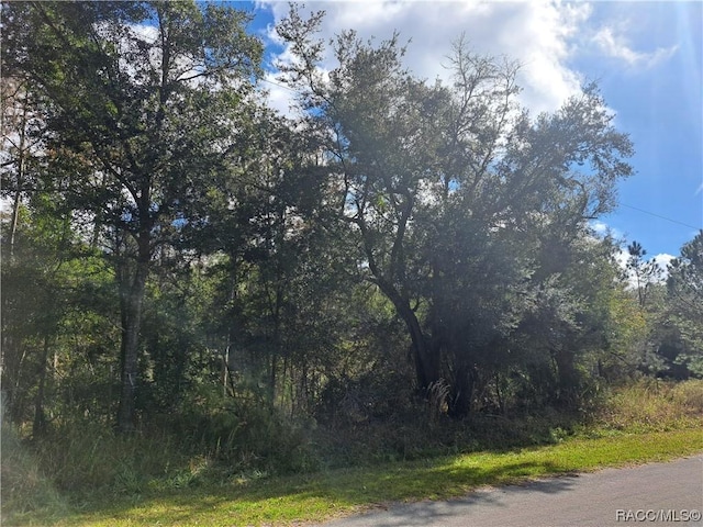9567 N Cavewood Ave, Crystal River, FL 34428