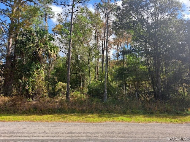 9567 N Cavewood Ave, Crystal River, FL 34428