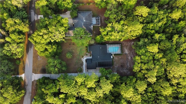 bird's eye view