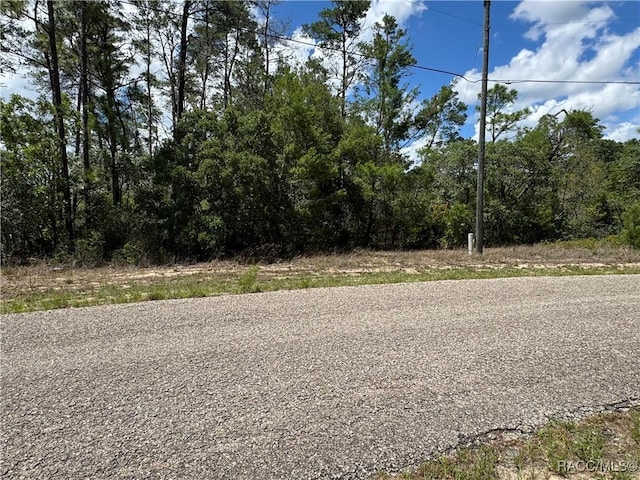 8959 N Farrington Dr, Citrus Springs, FL 34433