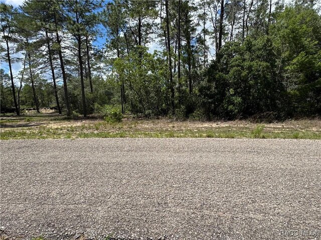 8959 N Farrington Dr, Citrus Springs, FL 34433