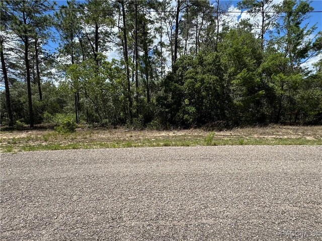 8959 N Farrington Dr, Citrus Springs, FL 34433