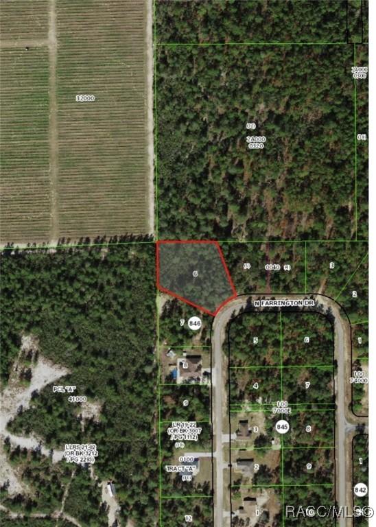 8959 N Farrington Dr, Citrus Springs, FL 34433